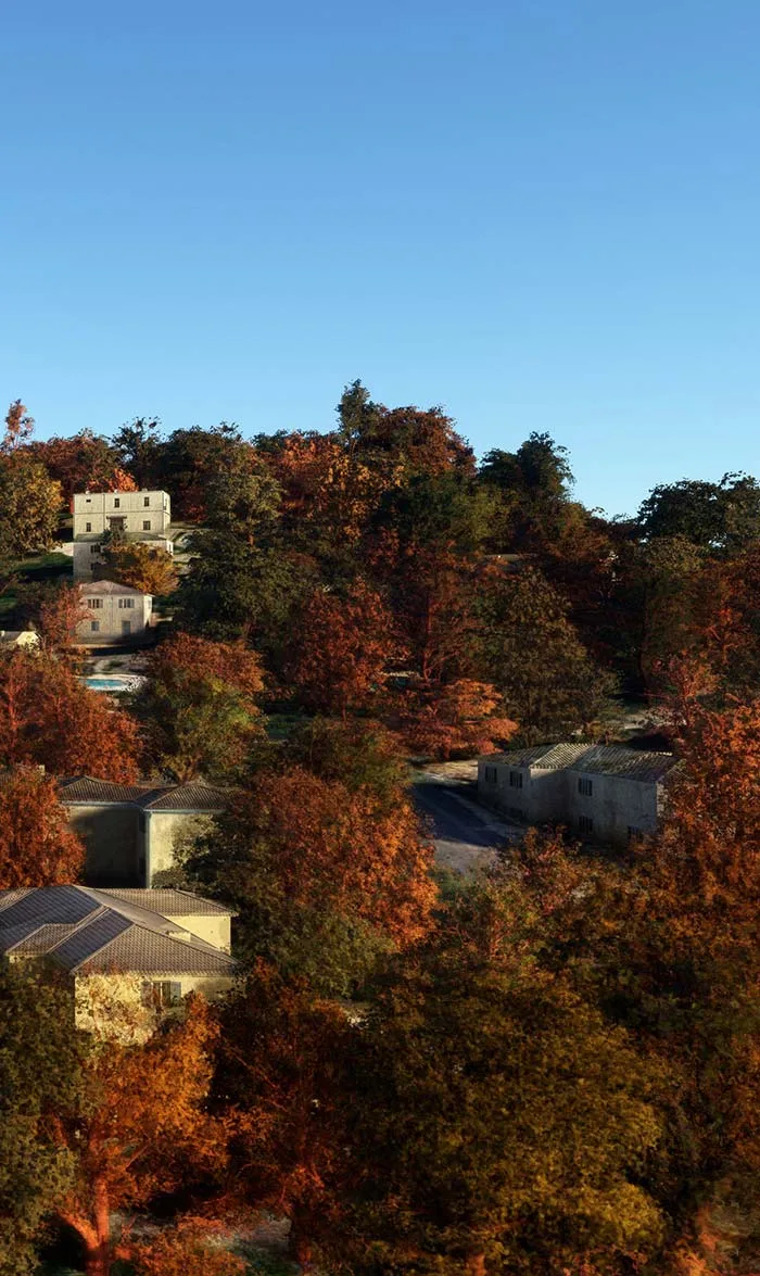 Tall tree height option in AccuSeason Advanced