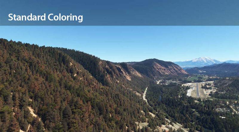 Standard vegetation coloring of a mountainous area.